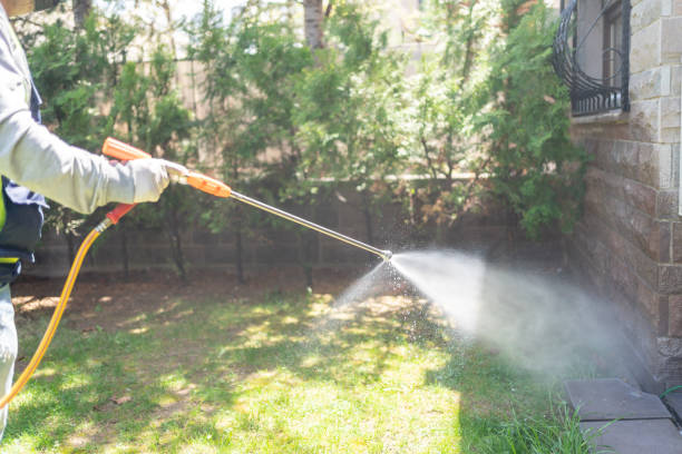 Best Bee and Wasp Removal  in Moorestown Lenola, NJ